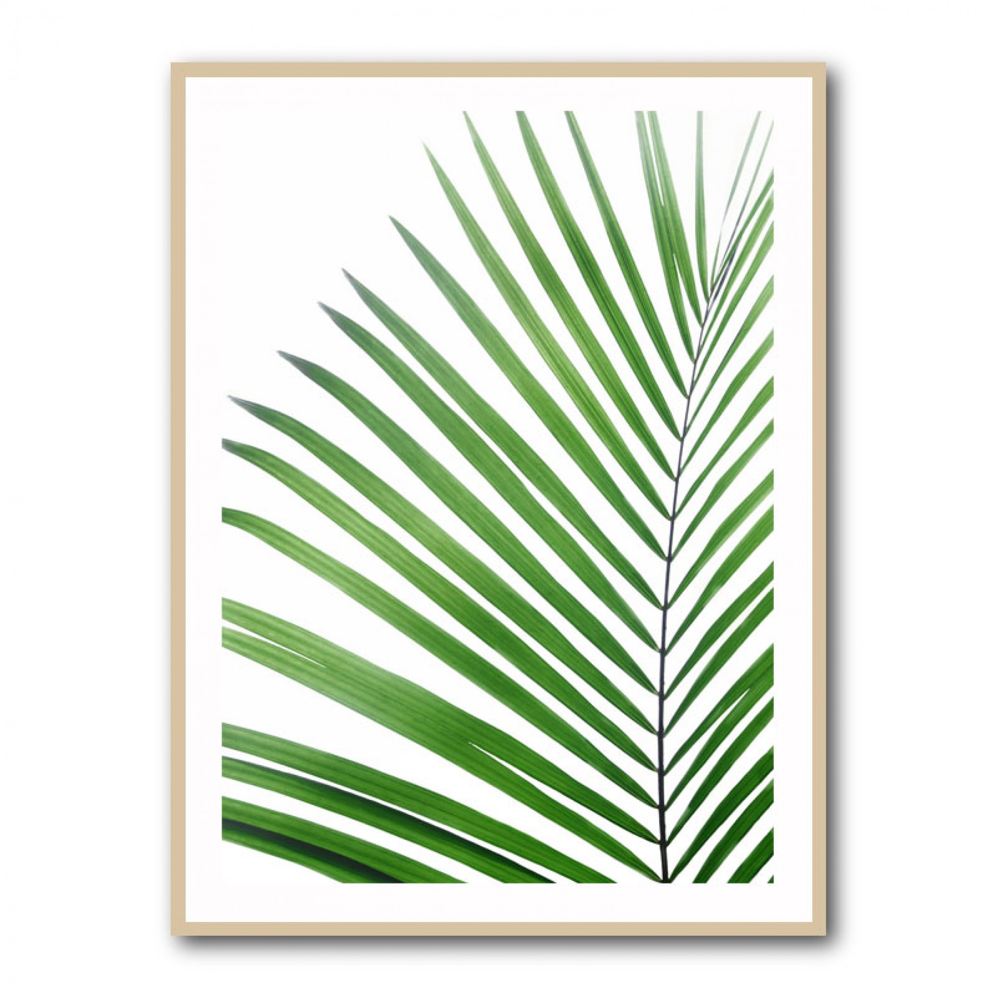 Green Palm Leaf Wall Art